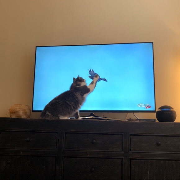 Meet your Posher, Megan - Picture 7 of 10